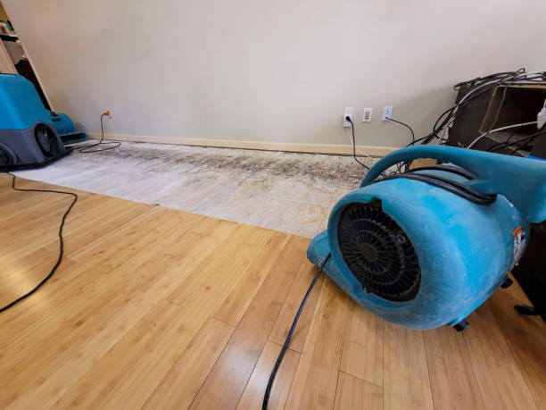 Professional Water Removal technician working in Delta, OH